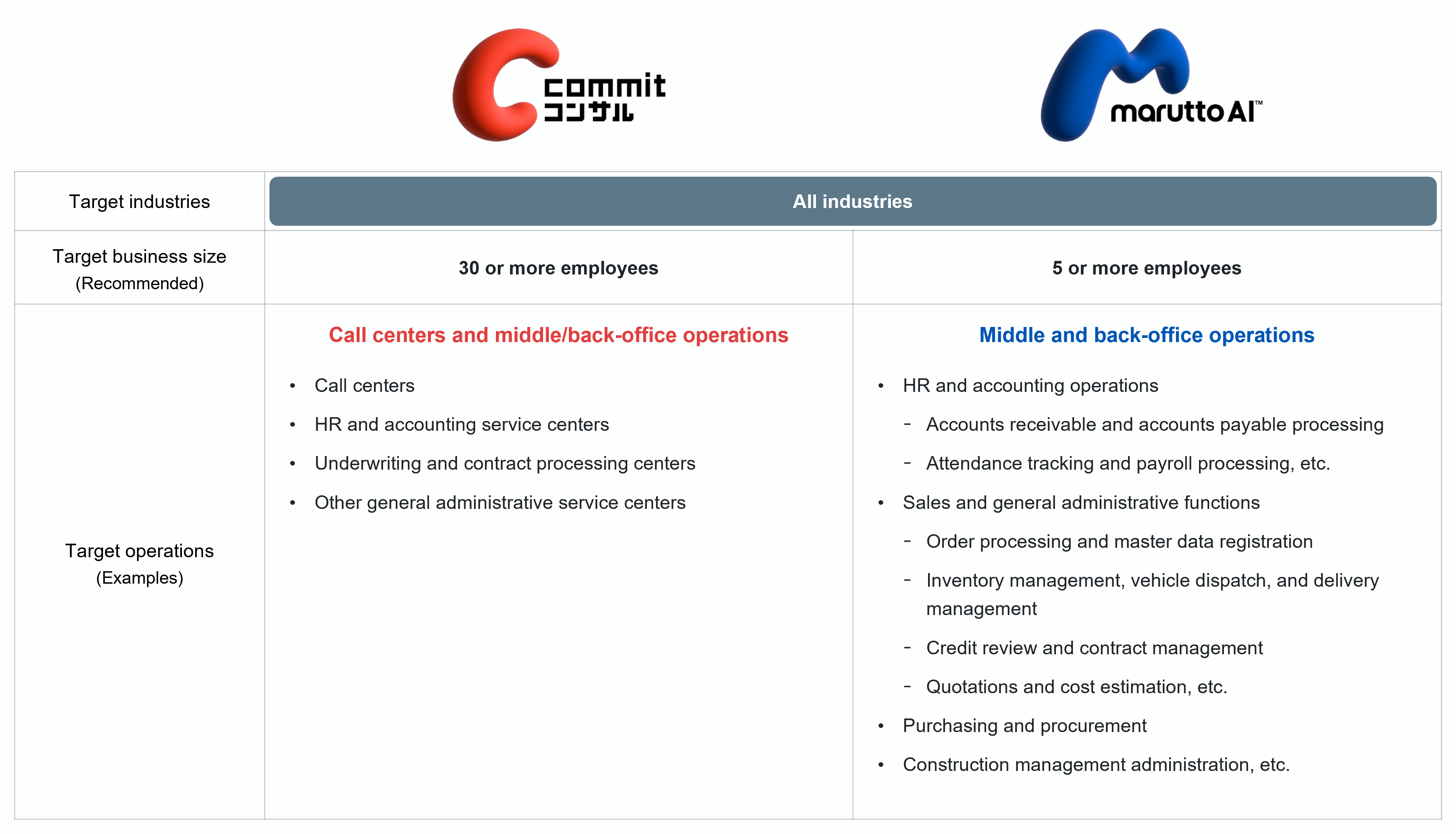 Scope of BPX transformation support services